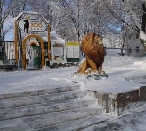 Пензенский зоопарк приглашает отметить день белок