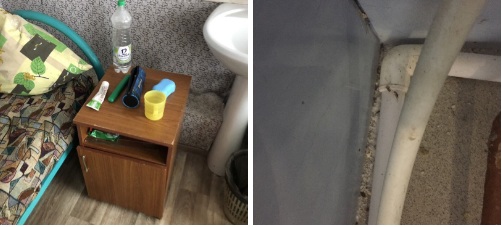 Оздоровительная смена? В Пензенской области выясняют причину массового отравления детей в санатории «Надежда»