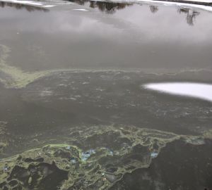 Пензенские предприятия допустили химические сбросы в водные объекты