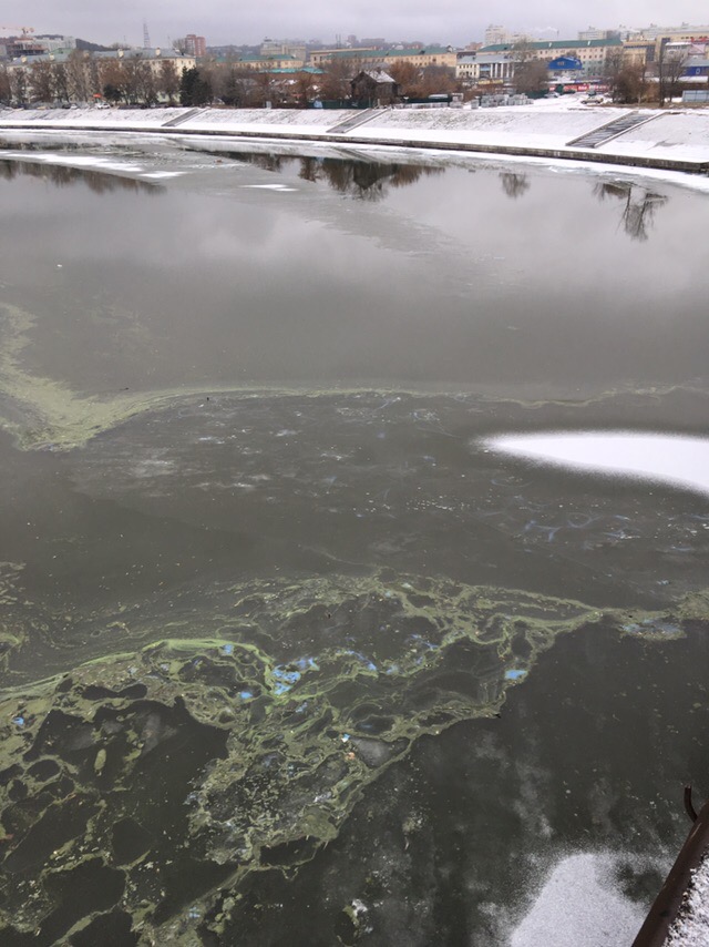 Пензенские предприятия допустили химические сбросы в водные объекты