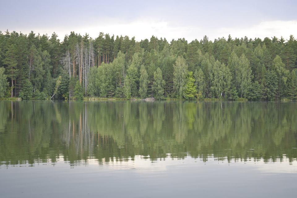 Региональные законы изменят под нужды представителей эко-бизнеса
