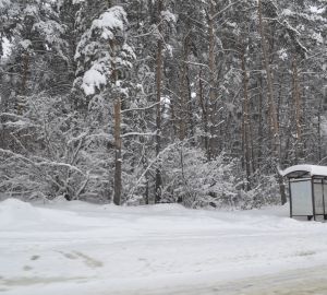 ЧП в Пензе: пожилая женщина выпала из троллейбуса. Показания очевидцев расходятся