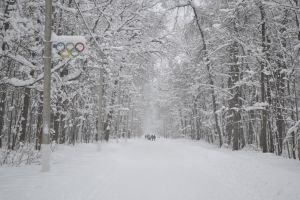 Пензенскую область ждет похолодание и до минус 20 и метель