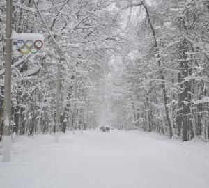 Пензенскую область ждет похолодание и до минус 20 и метель