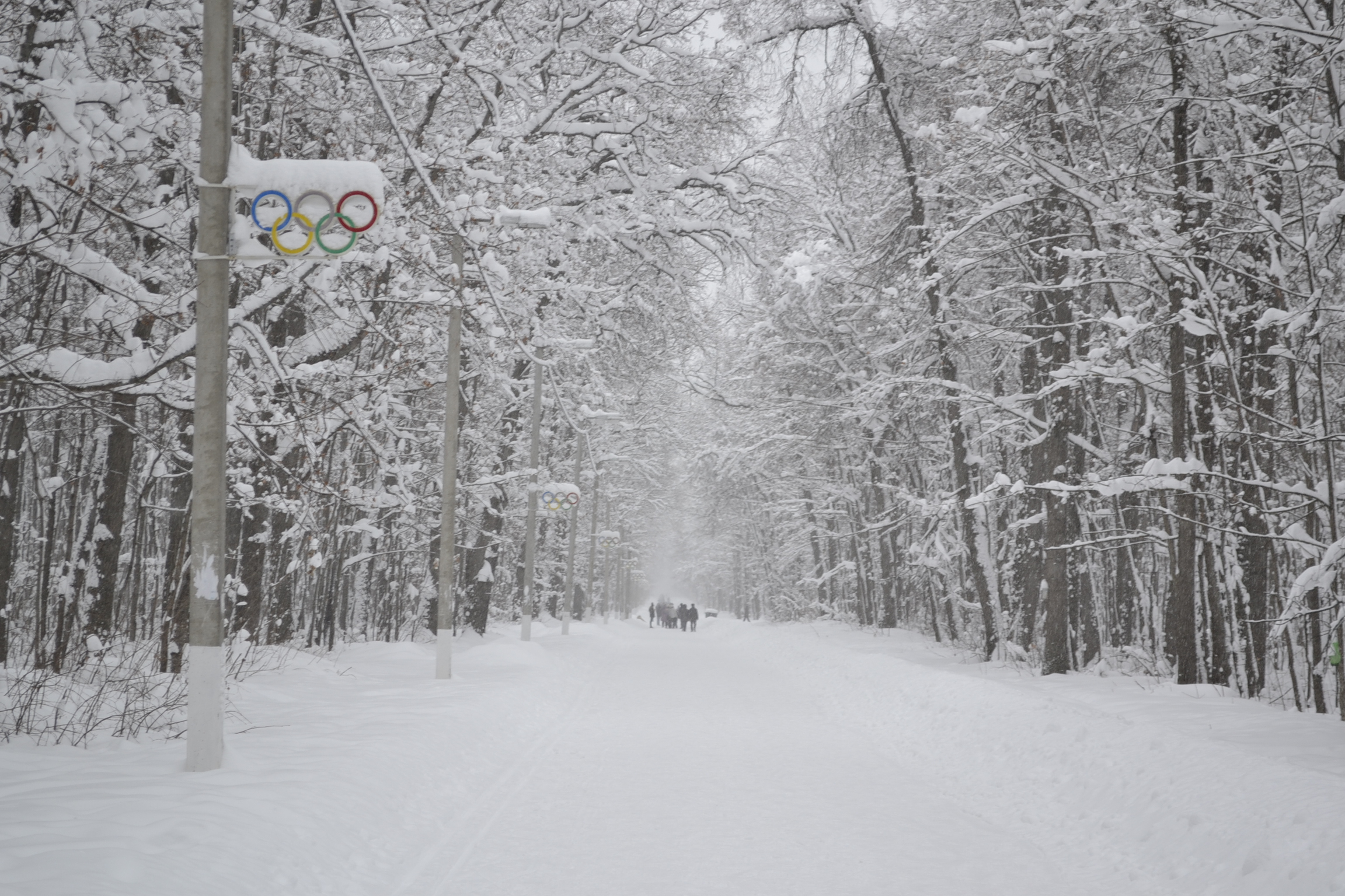 Пензенскую область ждет похолодание и до минус 20 и метель