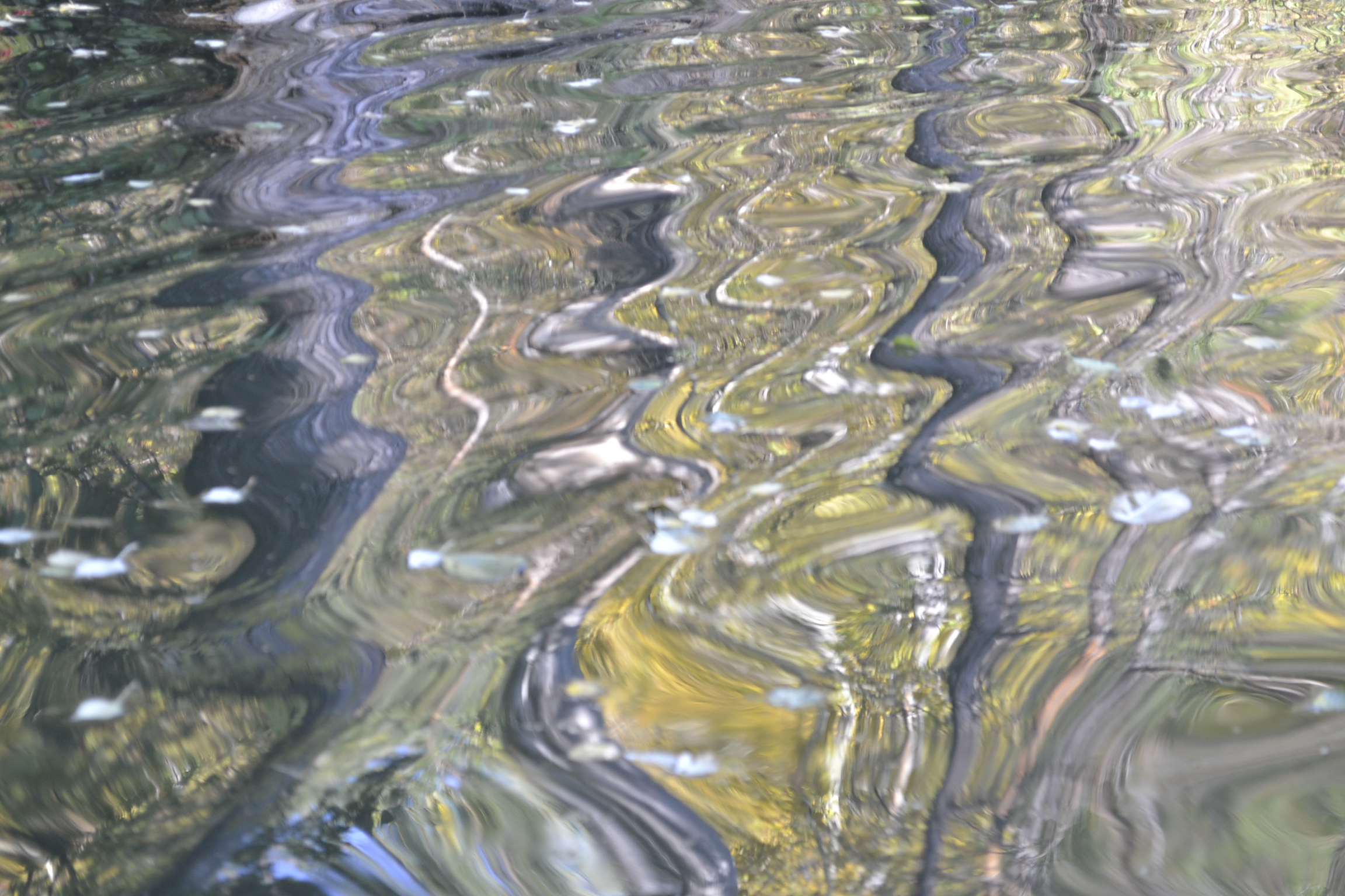 В Пензе людей в случае сильного паводка разместят в зданиях университетов