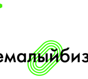 Пензенская компания завоевала гран-при конкурса «Немалый бизнес»