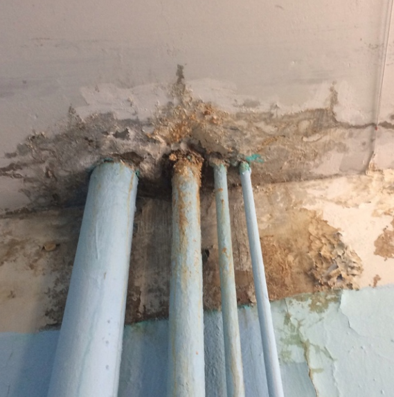 Родители учеников школы №6 города Кузнецка пожаловались на жуткое состояние детского учреждения