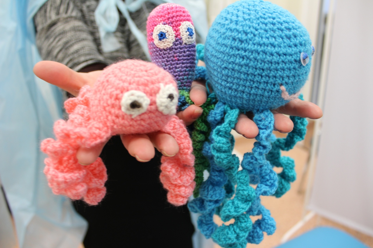 Ольга Чистякова: «Чудо-осьминожки для пензенских младенцев переданы в перинатальный центр»