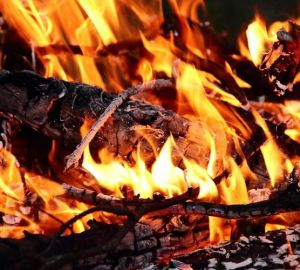 В Сердобске спасателям удалось спасти человека из огня