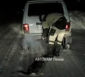 Живодеры, замучившие пса в Бессоновке, ответят по уголовной статье