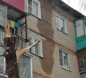 В Пензе разрушается дом на Вяземского, 29