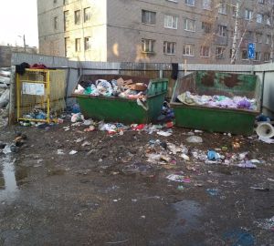 Пензу накрыло мусорной волной. Ухудшение ситуации неизбежно