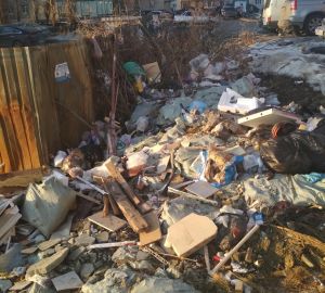 Юридическая ловушка: почему за мусорную площадку на Шуисте в Пензе никто не отвечает