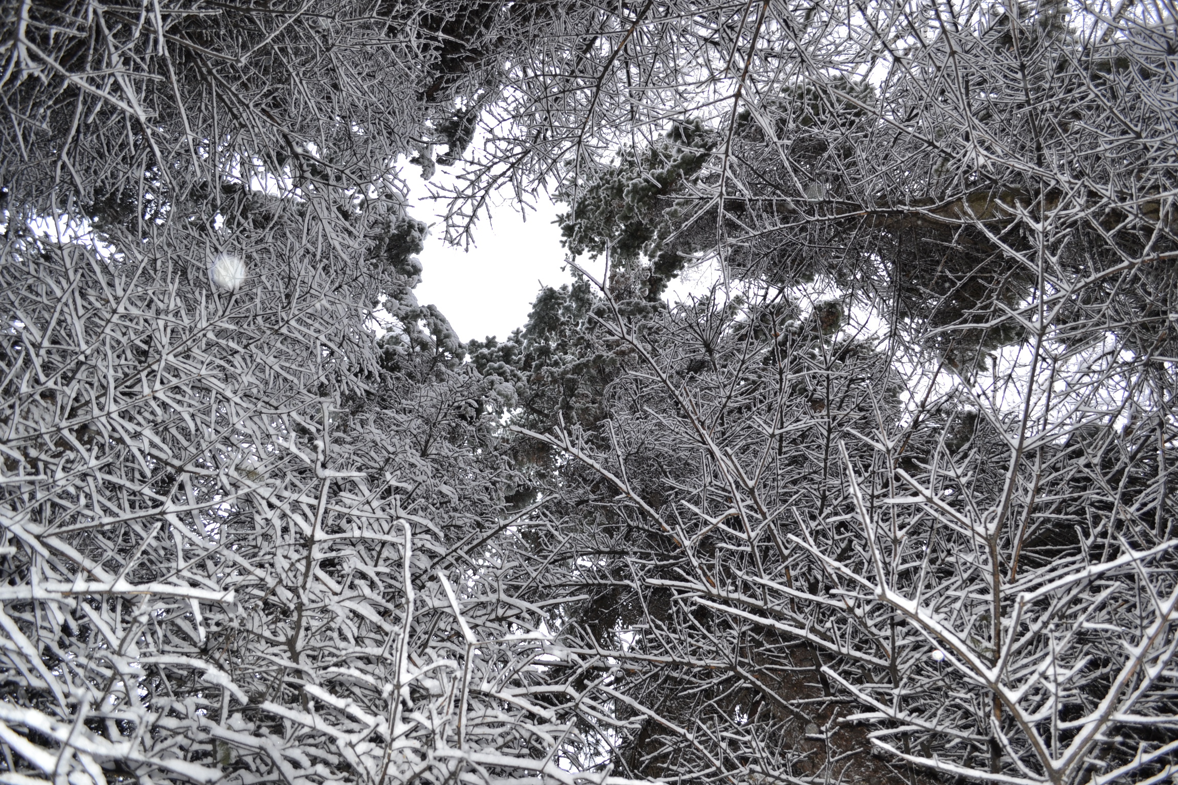 Коммунальщиков Сердобского района обвинили в смерти мужчины