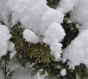 Пензенские следователи нашли семью, где мать выставляла детей на мороз