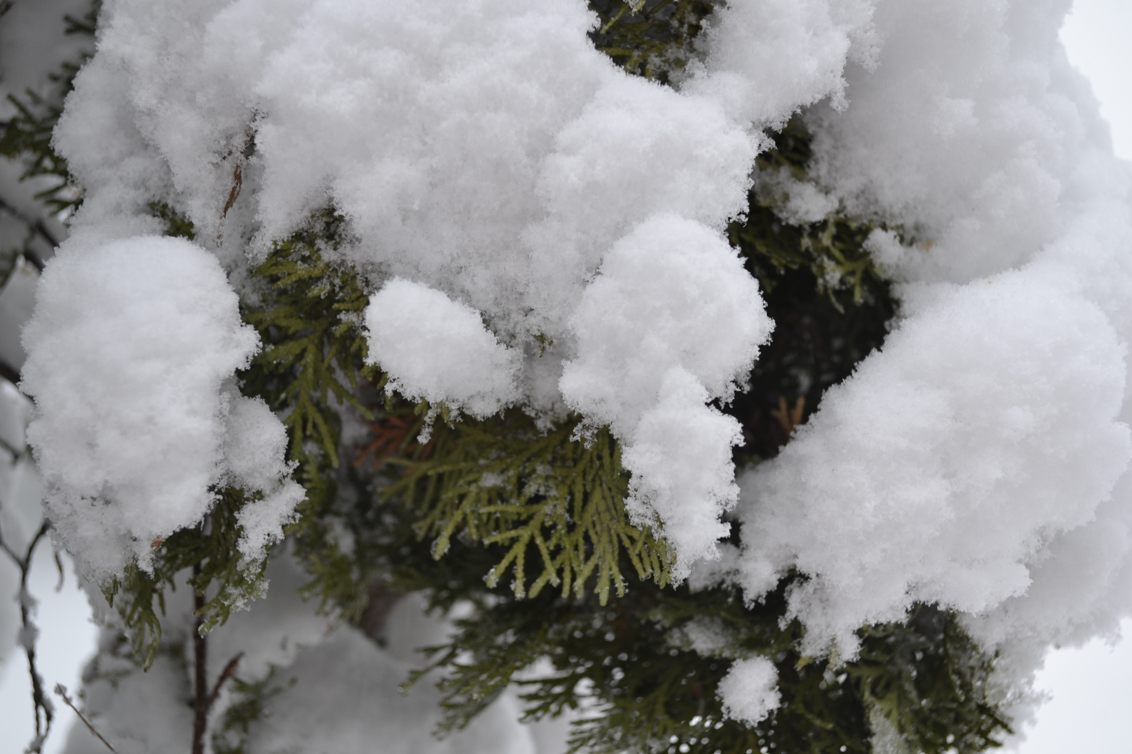Пензенские следователи нашли семью, где мать выставляла детей на мороз