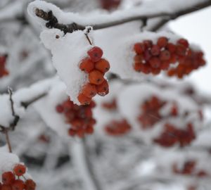 В Пензе мать воспитывает малышей, выставляя их не одетыми на мороз