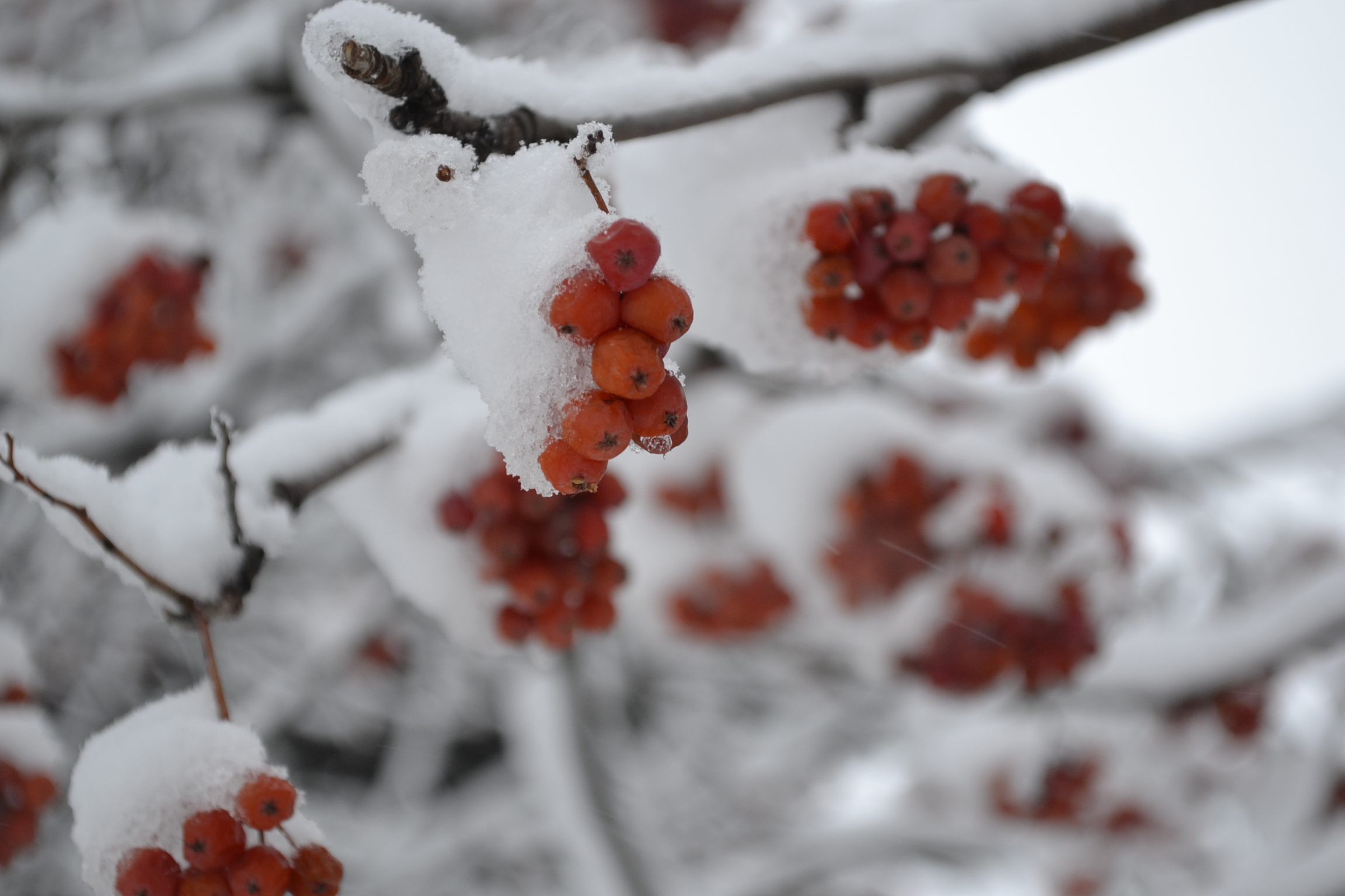В Пензе мать воспитывает малышей, выставляя их не одетыми на мороз