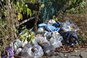 В Пензенской области мусорный тариф может быть снижен на 30 процентов