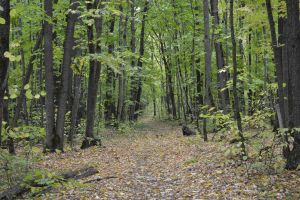 В Пензе девочка, потерявшая родителей, несколько дней живет на улице