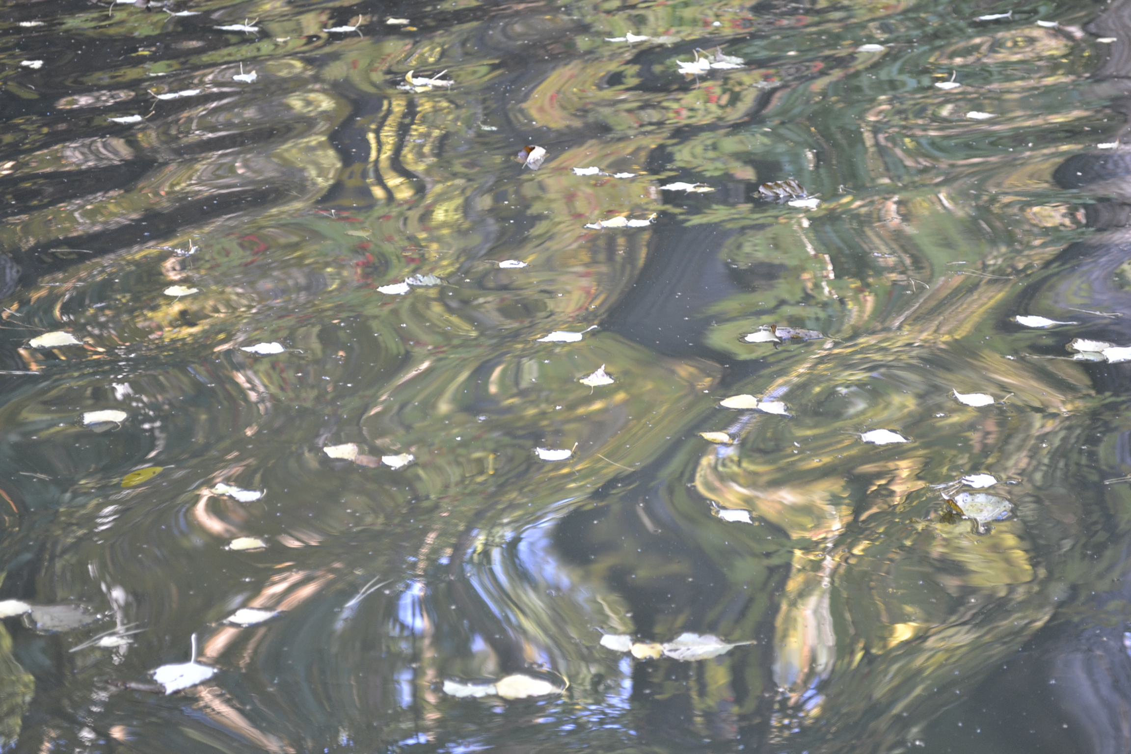 Грозит ли Пензе сильный паводок?