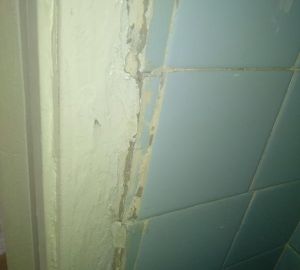 Беременной сироте администрация предоставила «убитую» квартиру