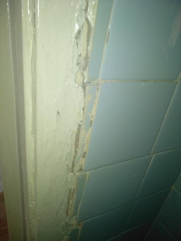 Беременной сироте администрация предоставила «убитую» квартиру