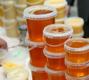 Пензенских пчел защитят на законодательном уровне