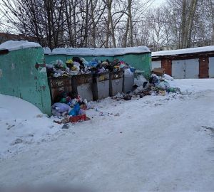 Пензенцы с улицы 8 марта пожаловались на мусорный беспредел