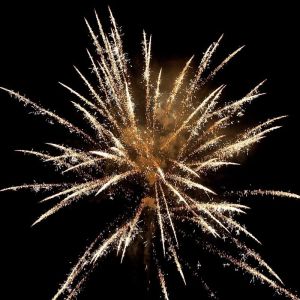 День города в Кузнецке перенесли на сентябрь