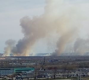 Пензу накрыл дым от масштабного пожара. Видео