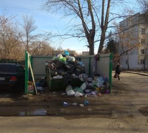 Пензенцы предложили отправить в "Черный список" мусорную реформу