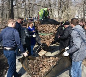 24 тысячи участников, 1200 деревьев и два конфликта: итоги весеннего субботника в Пензе