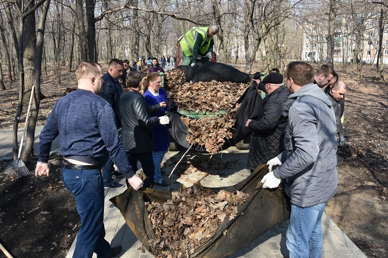 24 тысячи участников, 1200 деревьев и два конфликта: итоги весеннего субботника в Пензе