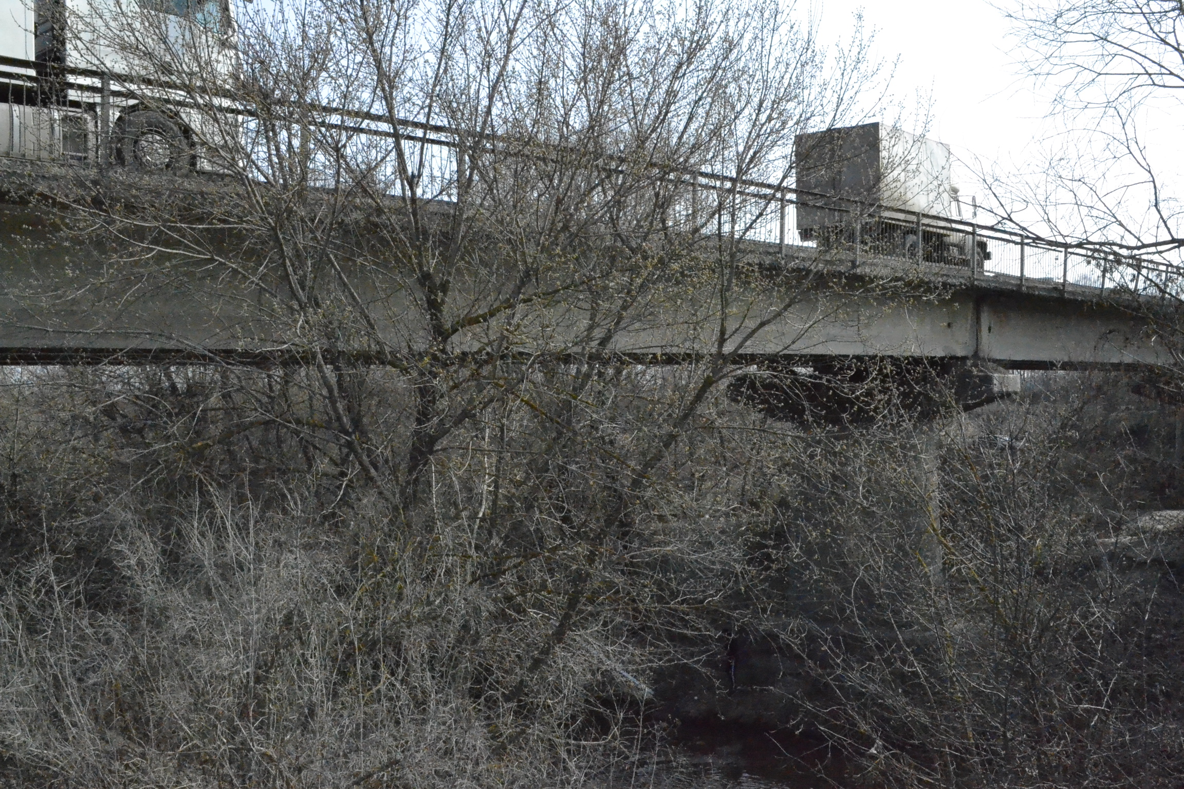 «Доживет» ли бригадирский мост до реконструкции?