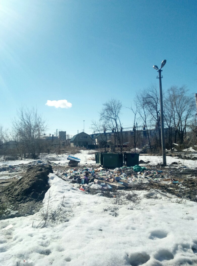Жители Пензы вновь жалуются на беспорядок на контейнерных площадках