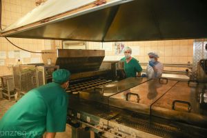 Стало известно, какие предприятия Пензенской области поддержали государственными деньгами