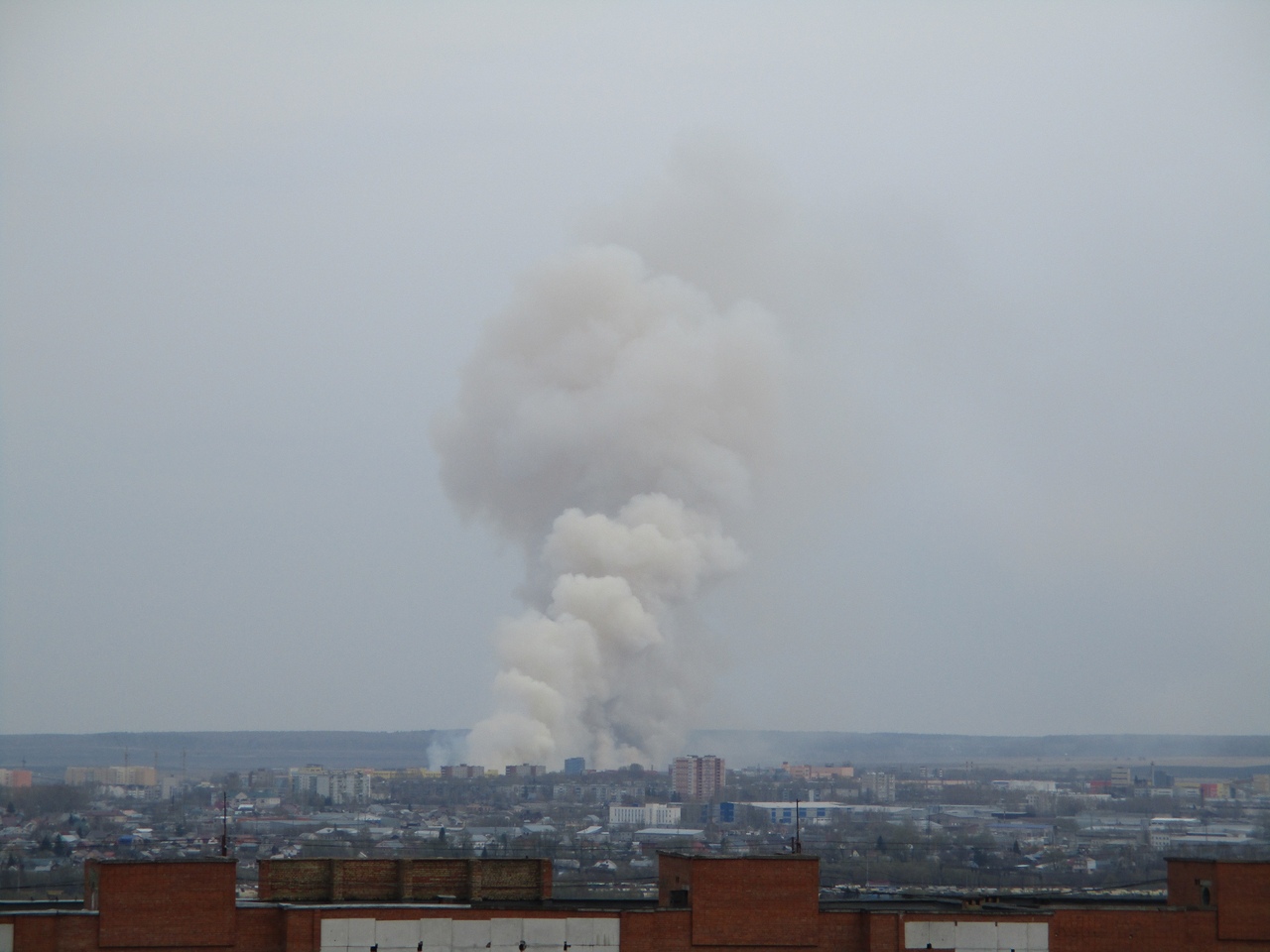 Поля горят: в Пензе ввели особый противопожарный режим
