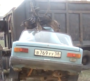 Автовладельцы в шоке: в Пензе варварски эвакуировали оставленную легковушку