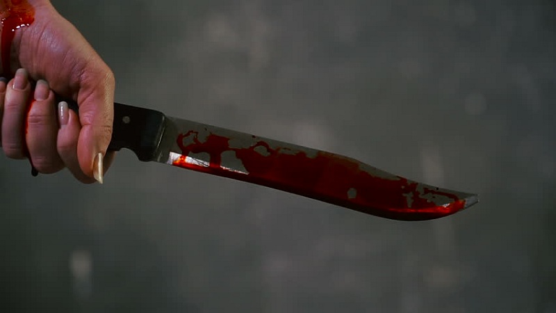 Трагедия в Кузнецке: за что мать 42 раза ударила ножом родную дочь