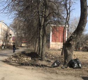 Убрать свалку на Шмидта городским чиновникам помогла прокуратура