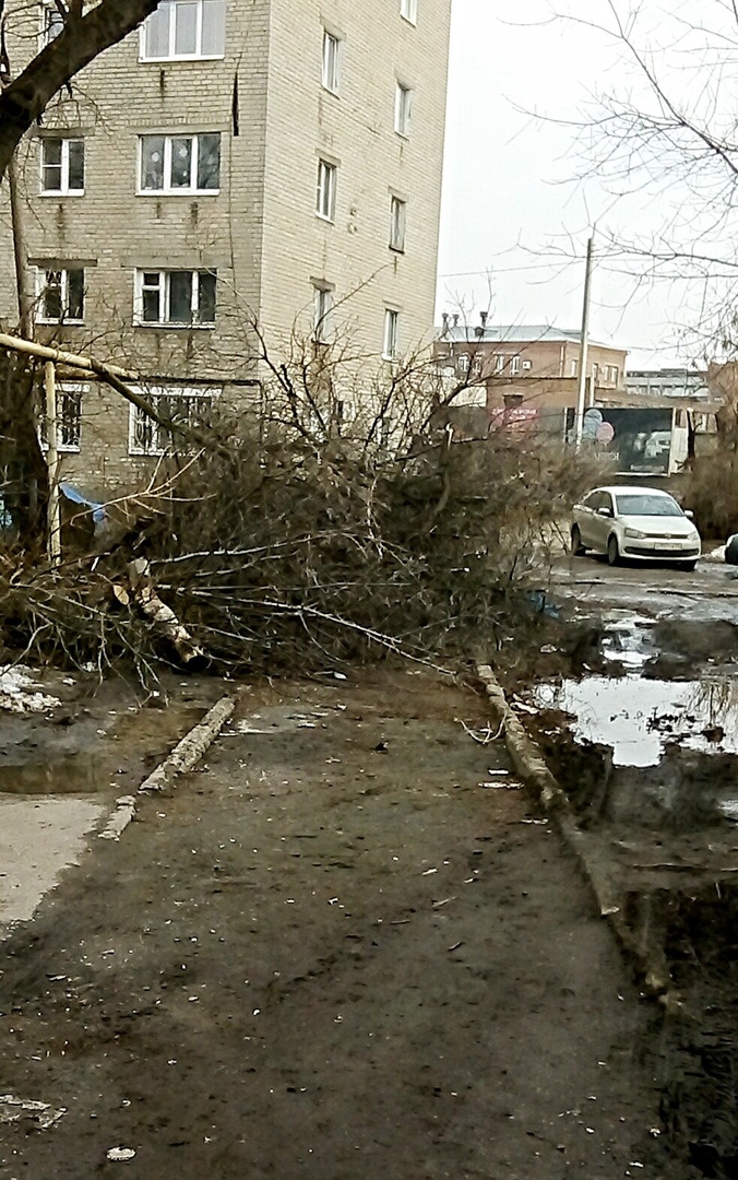 Губернатор Иван Белозерцев раскритиковал работу по благоустройству в муниципалитетах Пензенской области