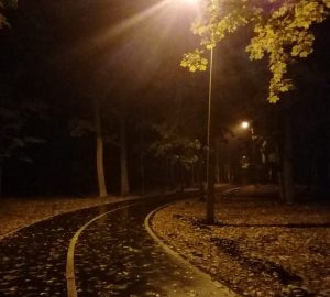 Пензенцы пожаловались на отсутствие туалетов на Олимпийской аллее