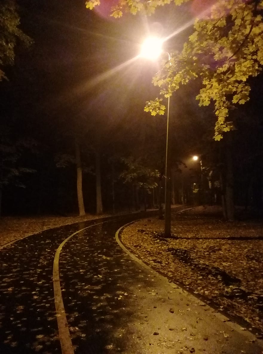 Пензенцы пожаловались на отсутствие туалетов на Олимпийской аллее