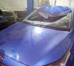 Стали известны подробности ДТП с лосем под Кузнецком