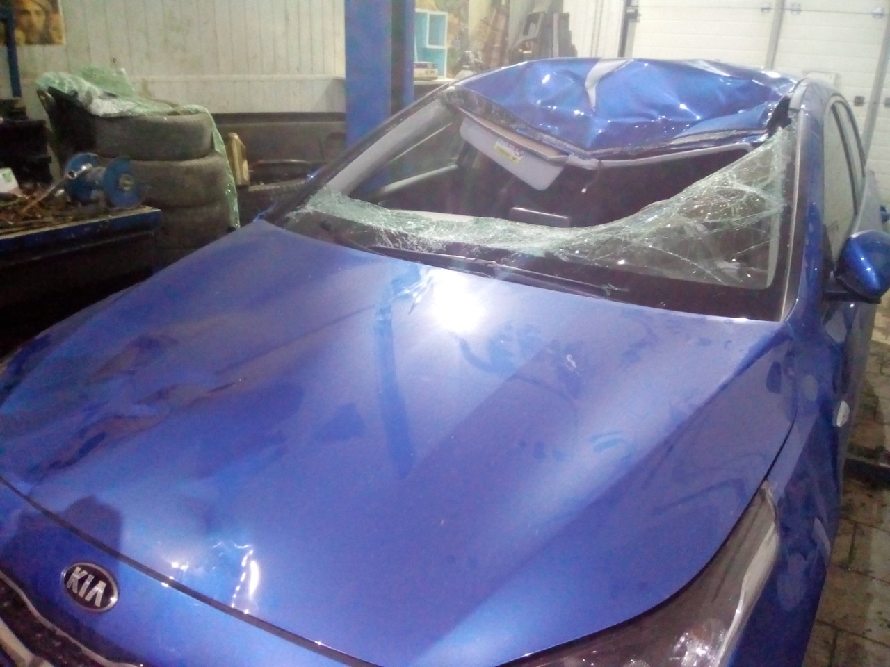 Стали известны подробности ДТП с лосем под Кузнецком