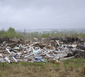 Лесопосадку в Терновке превратили в сплошную свалку