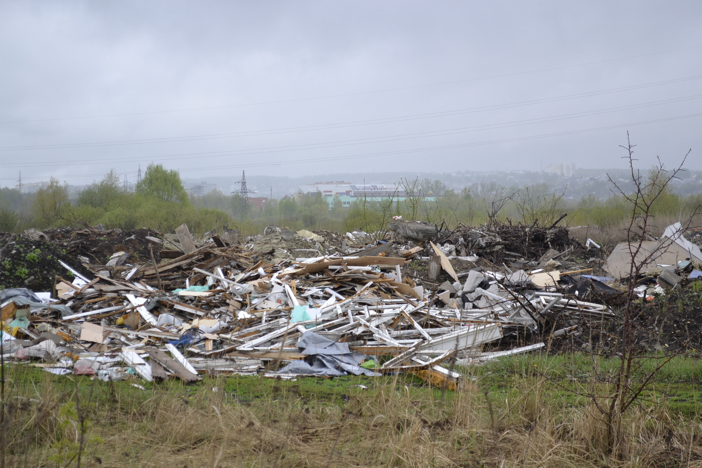 Лесопосадку в Терновке превратили в сплошную свалку