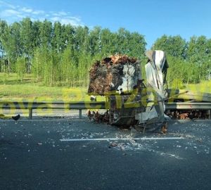 «Куриное» ДТП блокировало трассу М5 под Пензой. Есть погибшие и раненые